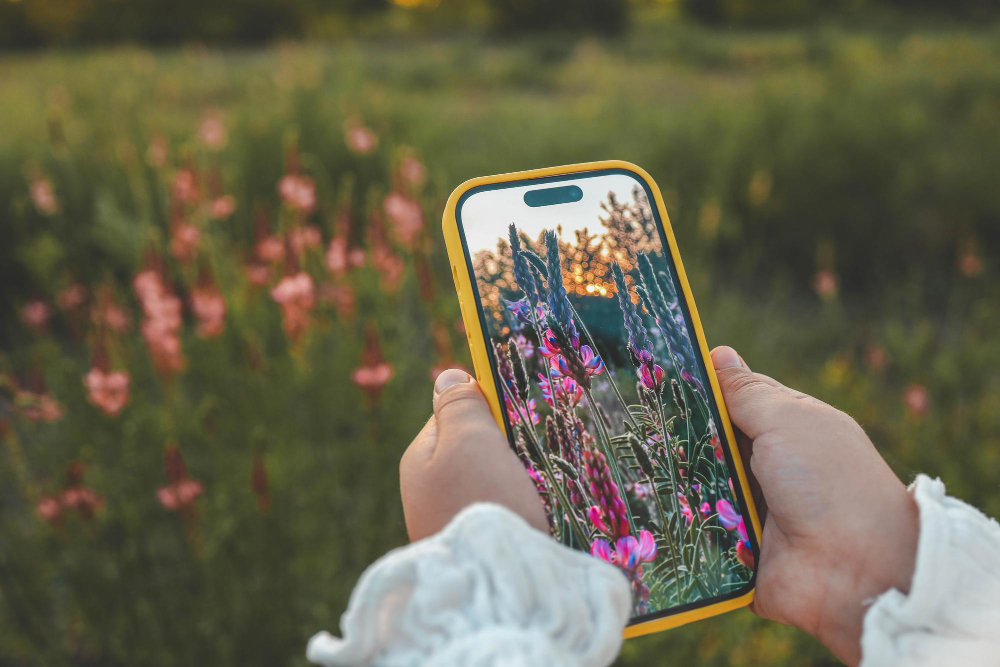 nejlepší iphone na focení v roce 2026, levneiphony (6)